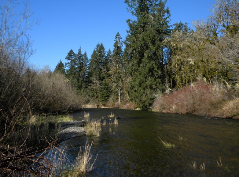 Schafer State Park, Washington, USA